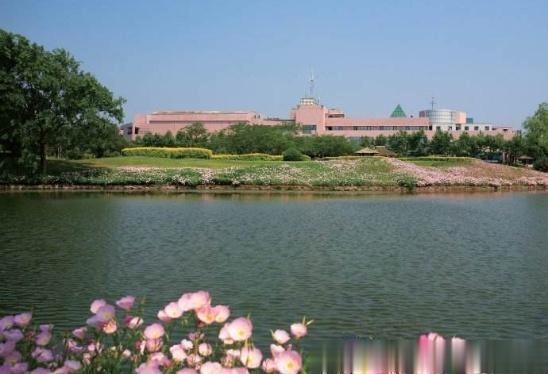 上海最“尴尬”的4A级景区，耗资1.2亿美元，很多人却没听说过