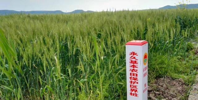 严守耕地保护红线！为什么一年时间，15.5亿亩变成15.46亿了？