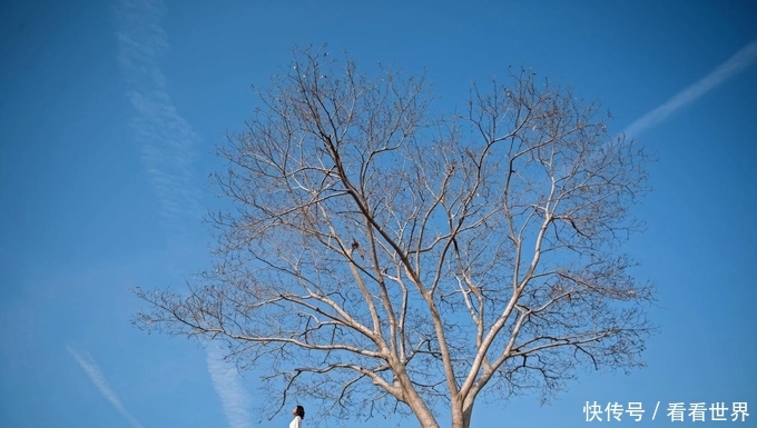 第一次来厦门,三日游攻略,带你厦门趴趴走
