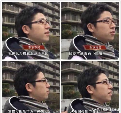 当日本人听到韩国人说樱花起源于韩国后，日本人：你们说啥都对！