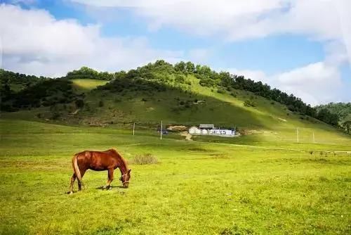 《延禧攻略》竟把陕西的陕西灵秀美景藏了进去!