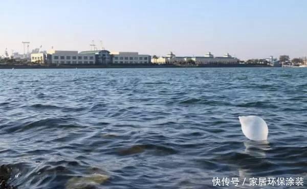  『适合』最适合夏天的漂流钓，经验以及技巧分享，渔获多且个体大