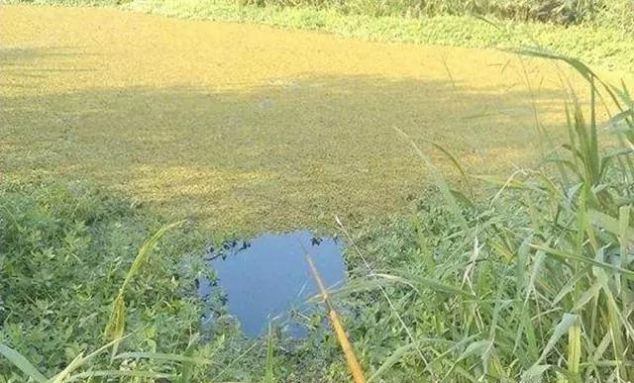  「出钓」刚到秋天，你就不会钓鱼了吗？