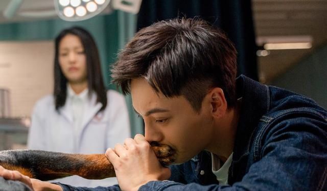 电影宠爱的票房现在是多少