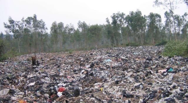 2019年，农村土地将会有两大补贴，最高金额可达每亩地1500元