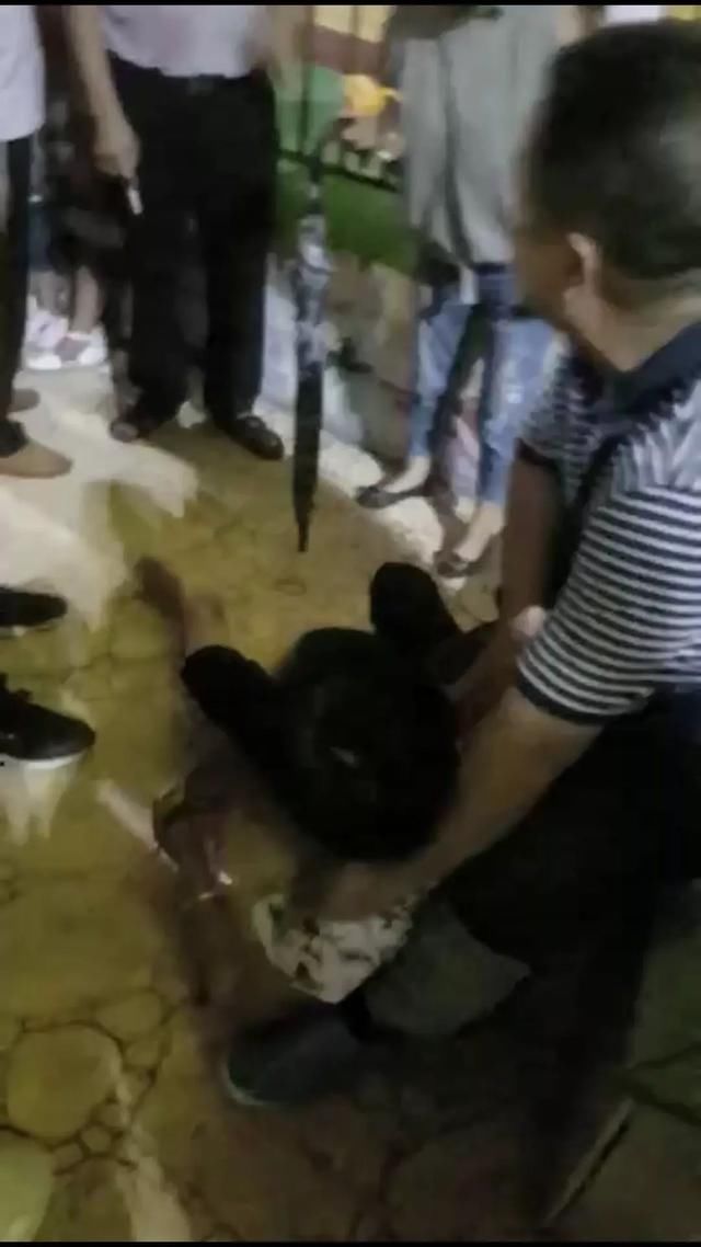 河源儿童公园有人抢小孩是谣言！谣言！谣言！