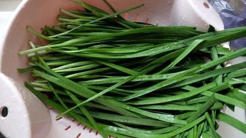  「春天」春天虫子开始活泛，2种无毒有效灭虫法，让家里花卉免遭侵扰