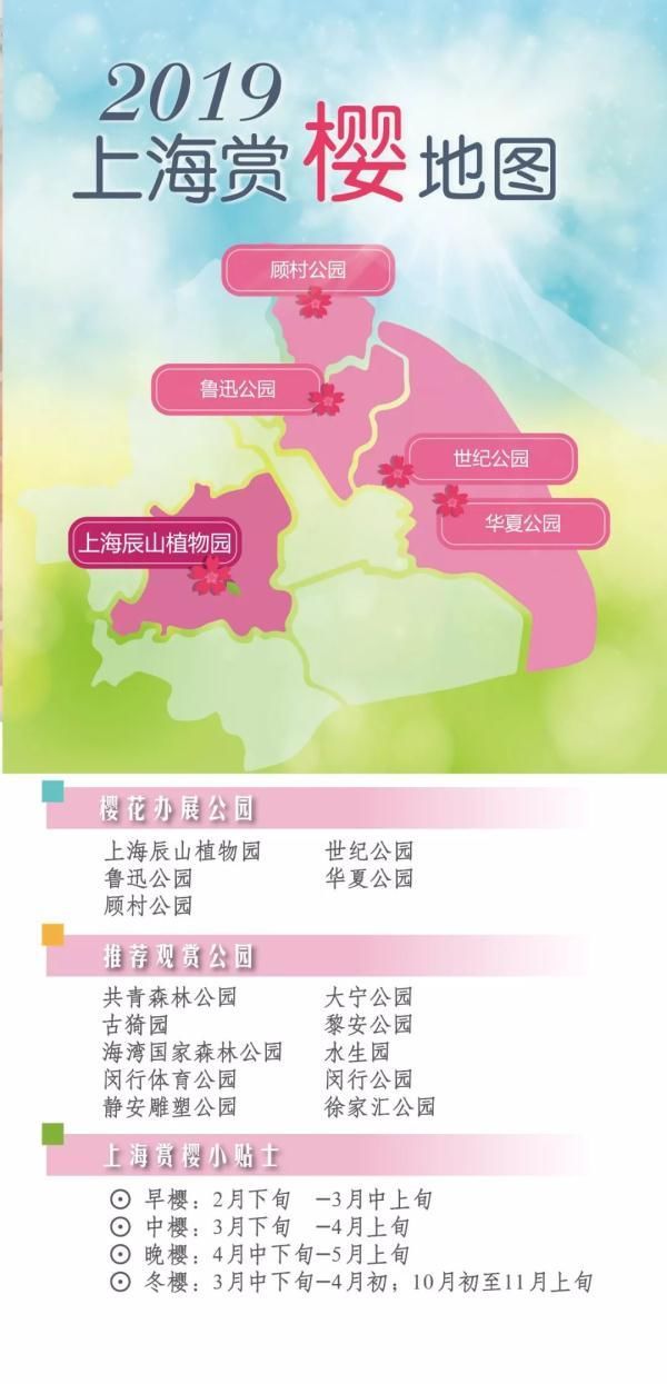 最美樱花季即将到来！沪上赏樱攻略在此