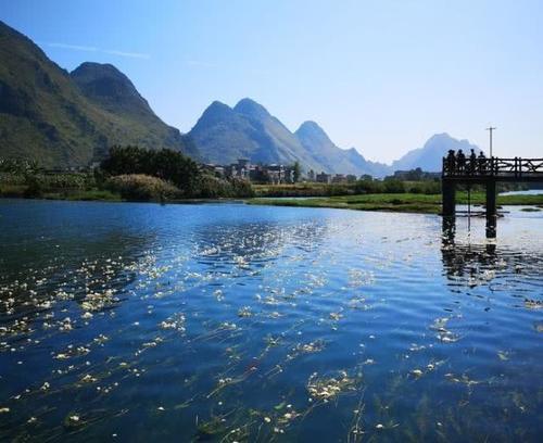 广西有一条“花河”，清澈的水面铺满了花朵，还不来见识一下吗？