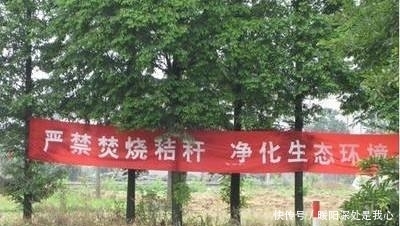  「留意」再过半个月，农村早已被叫停的3件事，又迎来高发期，农