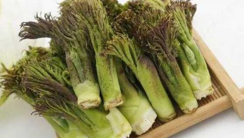 农村一种野菜 被称为山野菜之王 城里人没见过