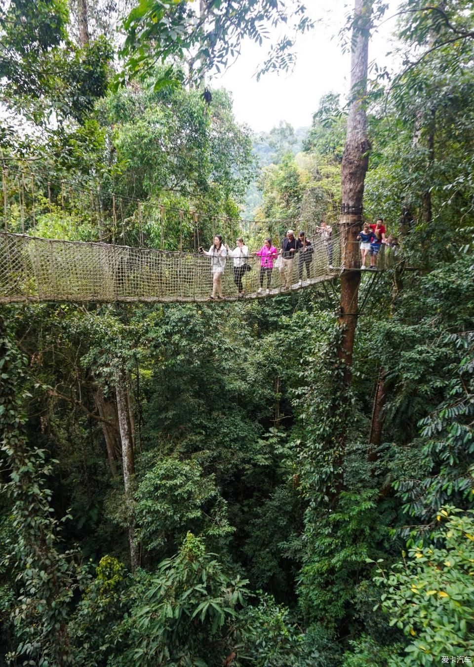  西双版纳@绿水青山就是金山银山，去西双版纳过泼水节！