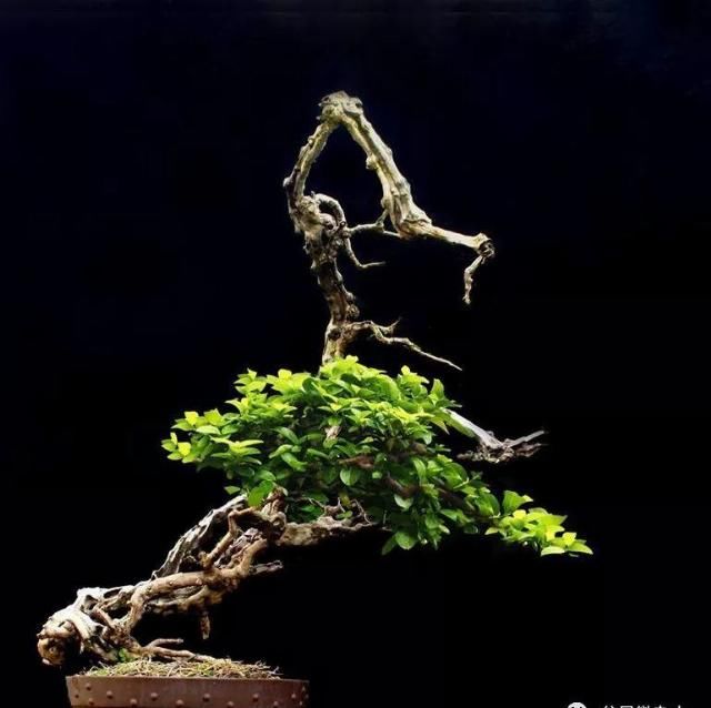 非艺术:平铺直叙非艺术,舒展层次真魂灵