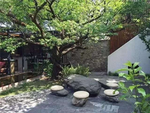  『庭院』菜吧：乡村庭院，你的第二个故乡！