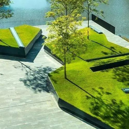  「棵树」一颗树，点亮整个庭院空间，美呆了~（附孤植清单）