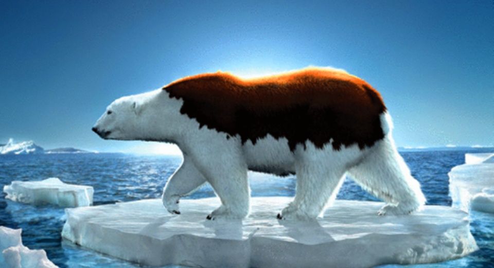 北极圈融化了或许是中国的机遇，而这里正在融化、险相逼人!