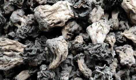 新疆特产年产仅10吨 常有人花“天价”求购却无人卖