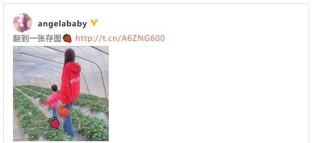 粉丝:杨幂晒手写信表白粉丝,刘亦菲与小动物互动,baby带小海绵摘草莓