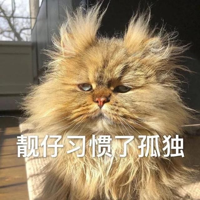 「幽默」幽默笑话:你先别下水,太危险,我去给你租个花圈