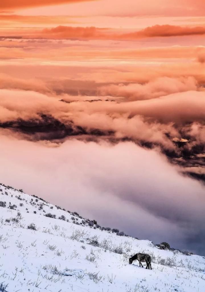 我的后半生，再穷也要去旅行