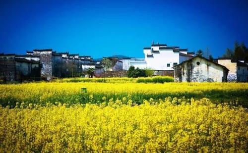 一旦去了这些地方，其他就都成了将就！