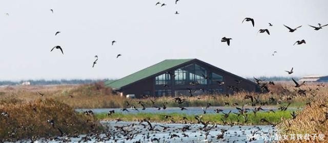 国内不断扩大的岛屿，每年扩大5平方公里，或将成为中国最大岛！