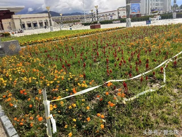 扎西伦布寺我已成佛、将把扎西伦布寺写成纯洁的圣地