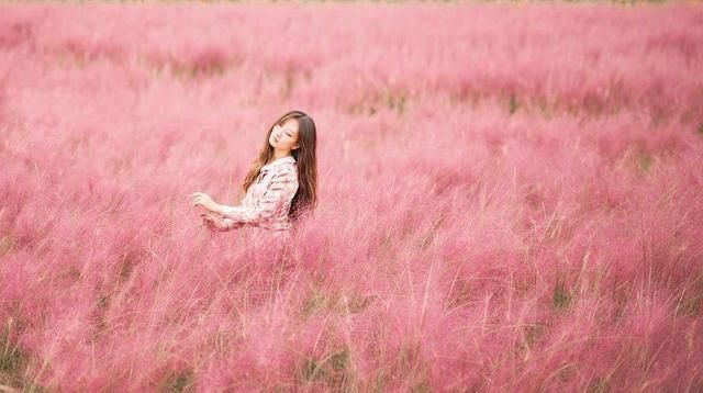 把这些“野草”搬进花园，感受一年四季的自然野趣