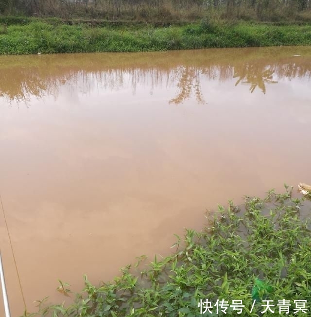  [春江]2020.2.14独钓春江涨水鱼