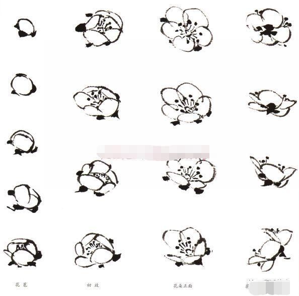 写意梅花画法示范教程，梅花的树干和根部画法，画梅花的构图形式