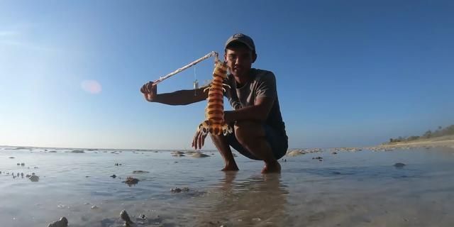  「准确」到海里去，多注意海里的小坑。里面有皮虾。一次钓鱼是准确的。又大又胖