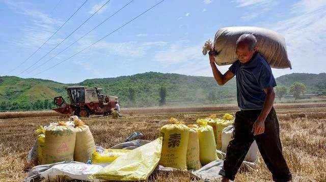 未来几年,农村将涌现3个“聚宝盆”,有人已经赚到钱,不妨试试
