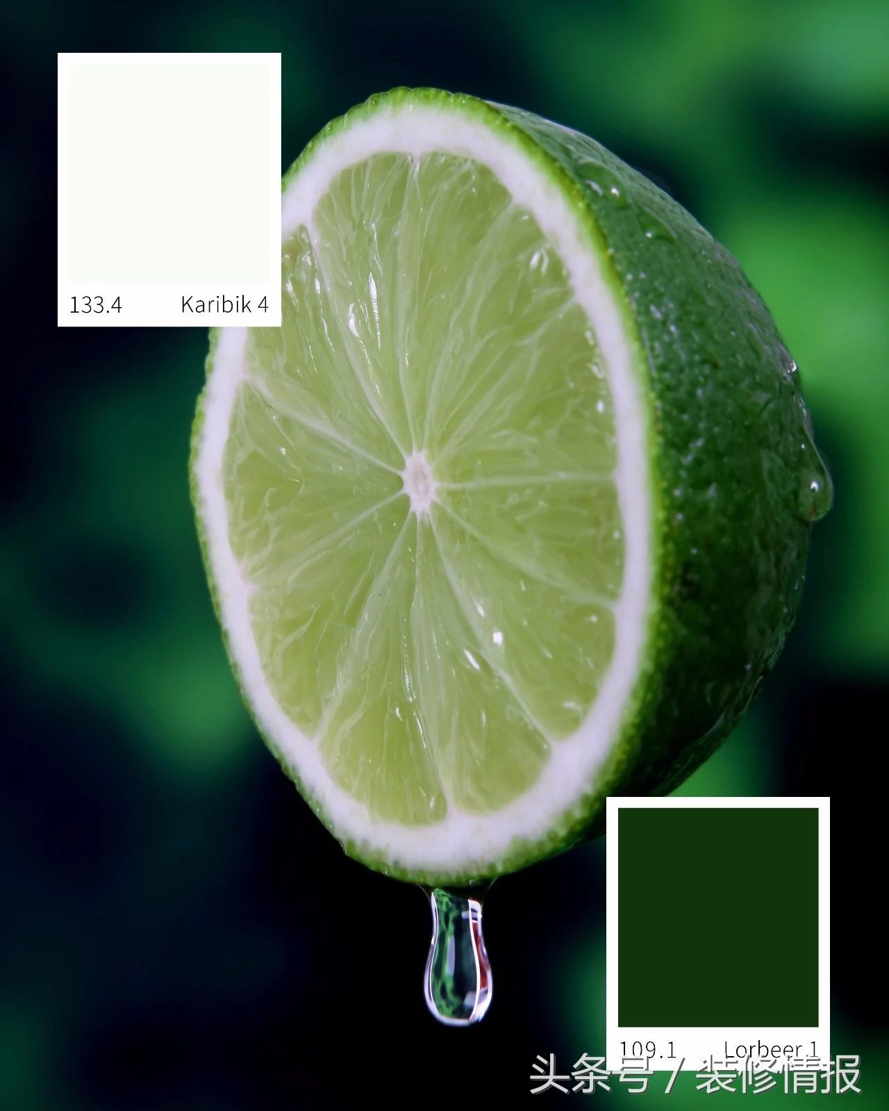 家居色彩搭配不纠结，7款垂涎欲滴水果屋拯救你的2019!