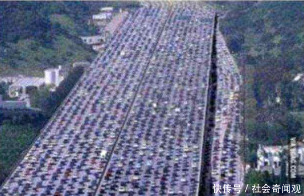 这些照片大多上过热搜，骗过了多数人的眼球，你是不是也中招了？