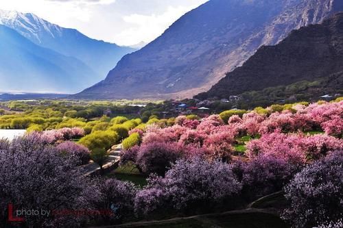 西藏热门打卡景点，西藏必游景点推荐，西藏旅游攻略