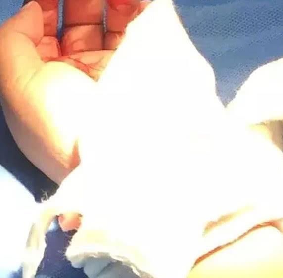 江宁摔狗事件，妻子割腕为狗偿命，网友:网络暴力更加可怕