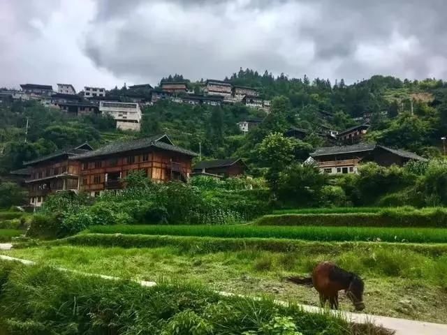  老桥@52岁的他为健康养老，跑大山里盖木屋，过上让人艳羡的生活