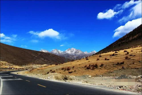 川藏线大量“弃车”，惨遭无视，老司机给你答案