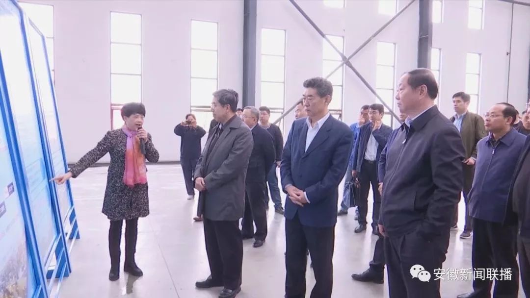 马建堂来皖调研长三角区域一体化发展情况，邓向阳陪同