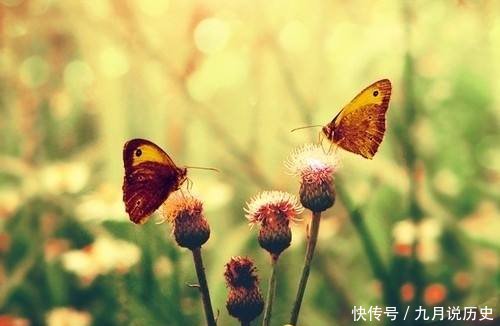 「知识」我们为什么要思考