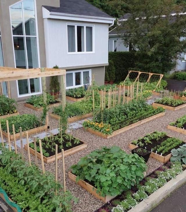  设计|城里人越来越流行在家种菜了！分享10种菜园设计，省钱还健