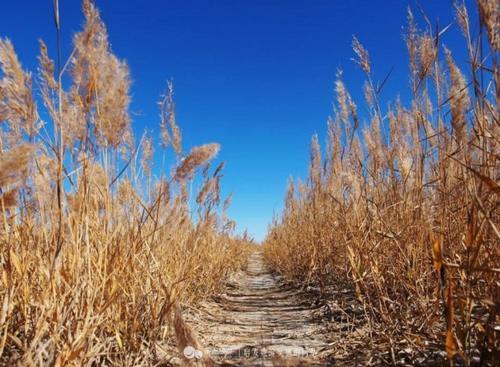 去武威,去戈壁和沙漠的边缘撒个欢