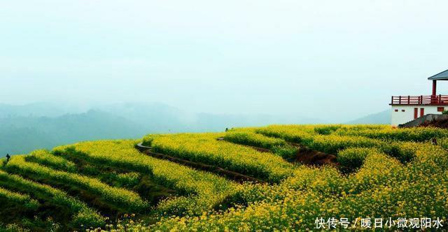  [深圳]广东最大的区，比汕头还大，相当于1个东莞，接近1.5个深