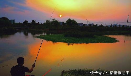  #钓到#敬告所有钓鱼人钓到有煤油味的鱼直接放生，千万别吃