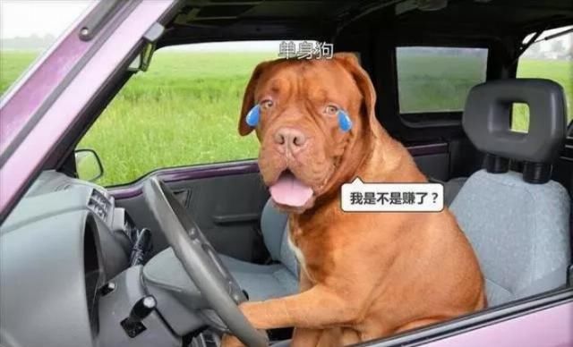 保险人:新手注意 这些基本汽车保险知识你都要会!