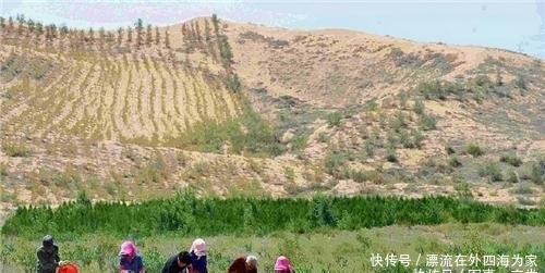 英国人在陕西特地去看沙漠，下车后懵了你们竟然喊这里叫沙漠