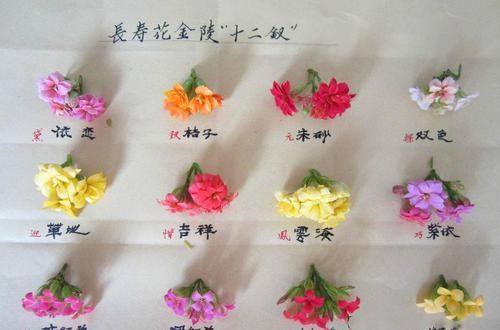 『枝条』养了3年的长寿花,长成一棵大树,开花上百朵!