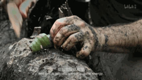 在蝎子和眼镜蛇横行之地，这位“现代鲁宾逊”吃的真香