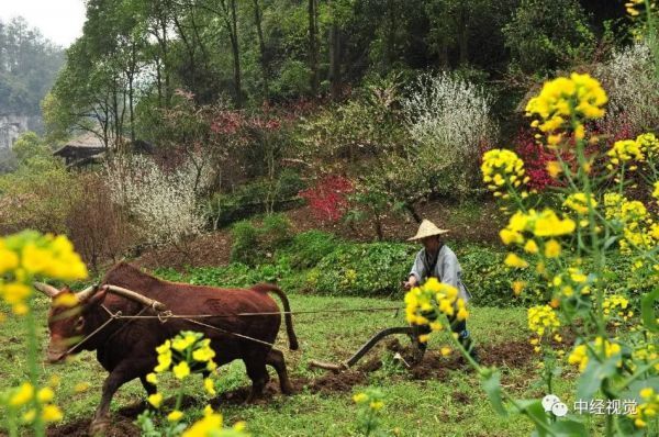  「花儿」你和花儿，一样美！