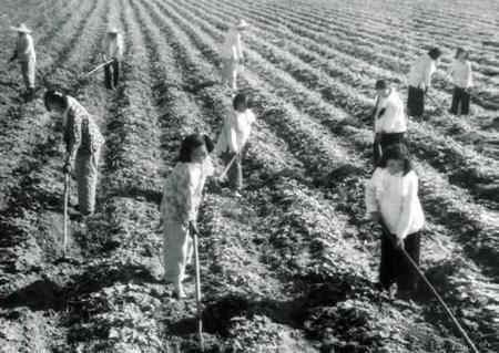 外国人拍摄的70年代中国老照片：想不到70年代的人们是这样子